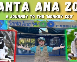 SANTA ANA ZOO